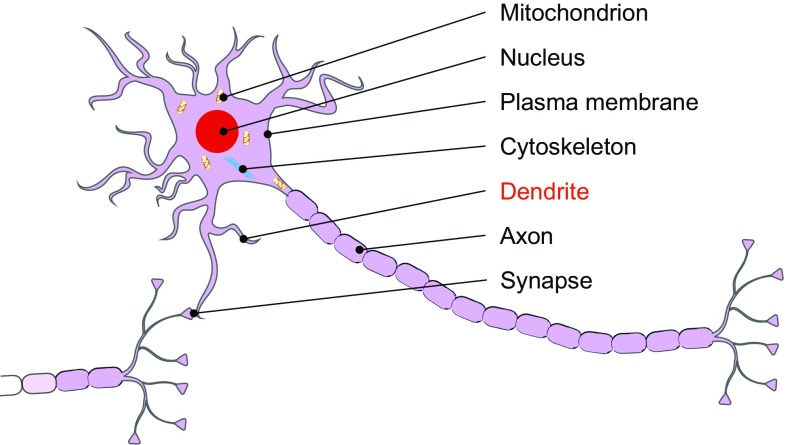 Fig. 4