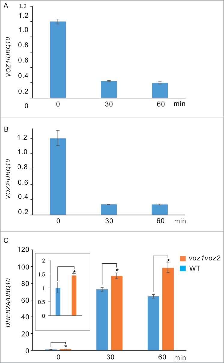 Figure 5.