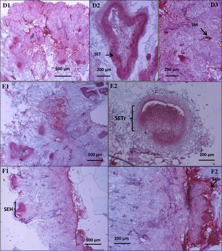 Fig 5