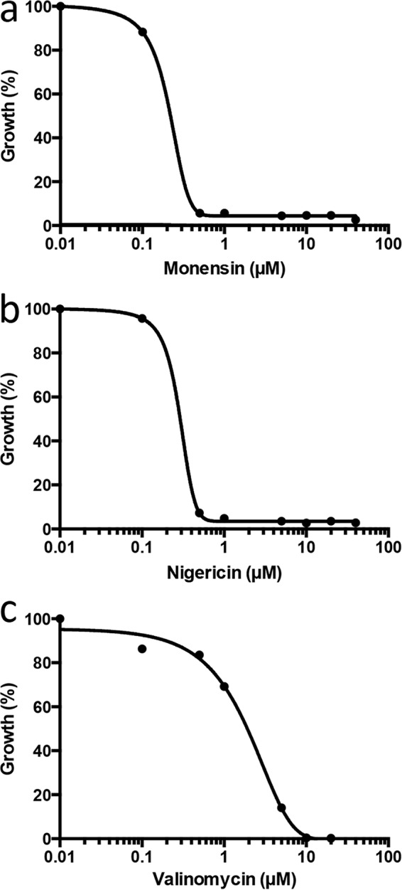 FIG 1