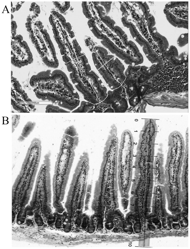 Figure 1.