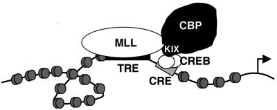 FIG. 7