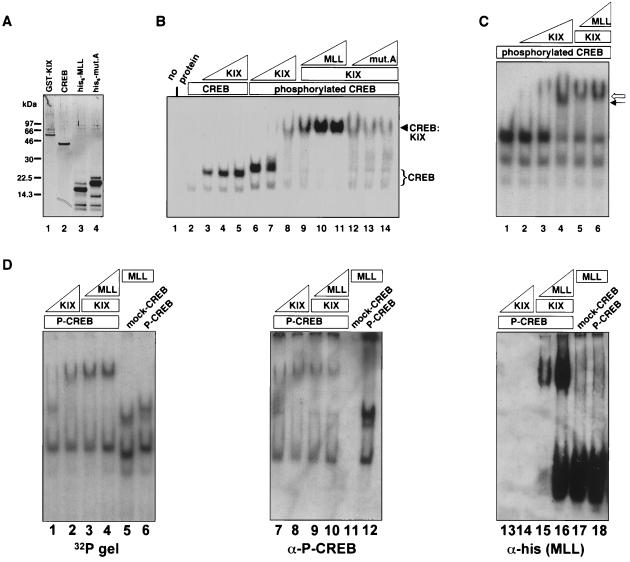 FIG. 6