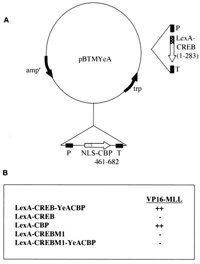 FIG. 1