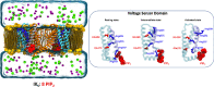 Image, graphical abstract