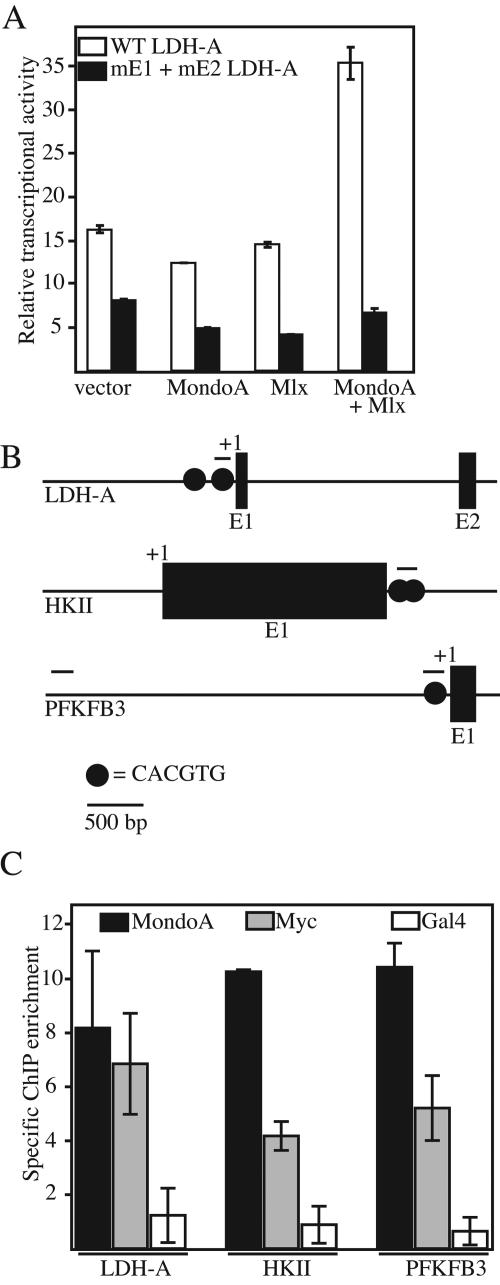 FIG. 6.