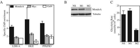 FIG. 7.