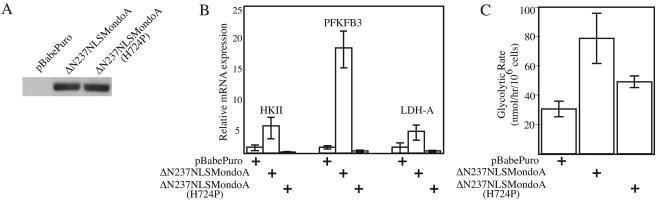 FIG. 5.