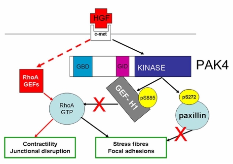 Fig. 10.