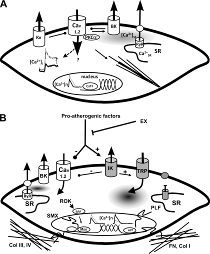 Fig. 4.