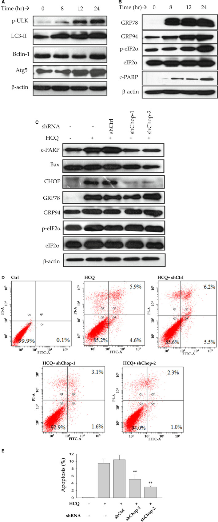 FIG. 6