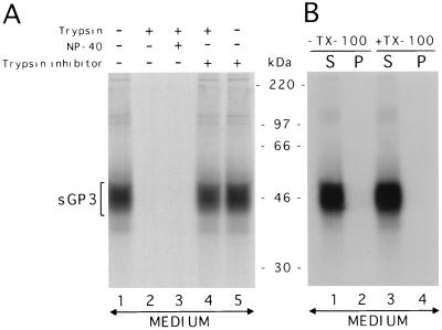 FIG. 6