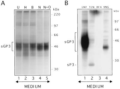 FIG. 7