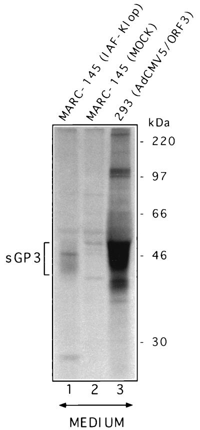 FIG. 5