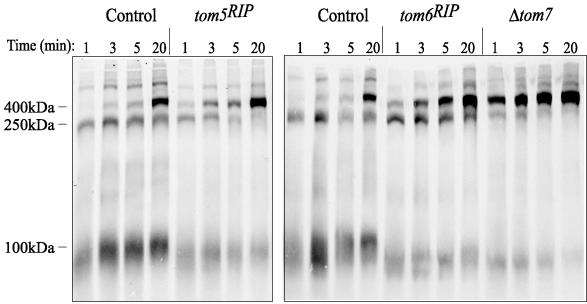 Figure 7.