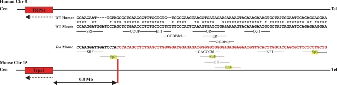 Figure 5.