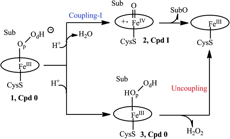 Scheme 1