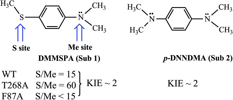 Scheme 2