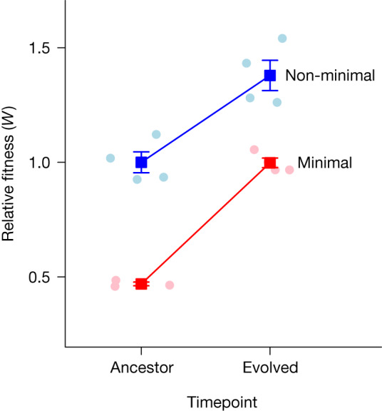 Fig. 2