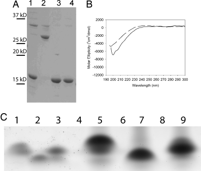 Fig. 5.