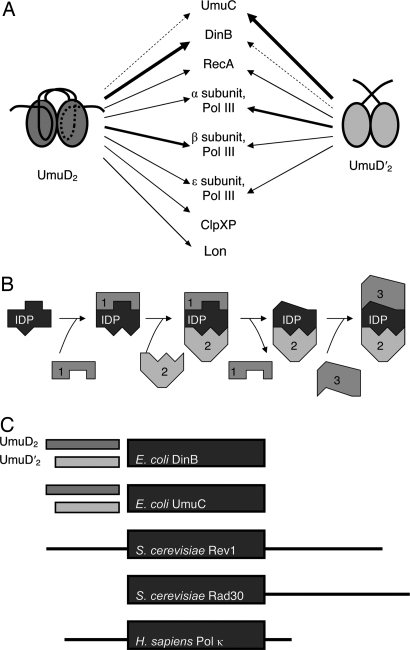 Fig. 6.