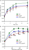 FIGURE 9: