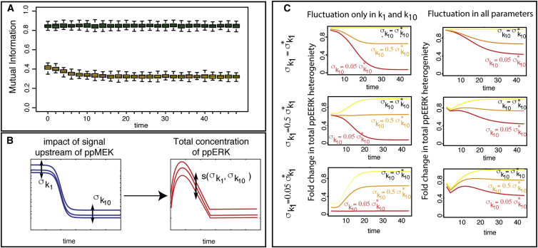 Figure 7