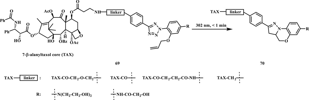 Scheme 9