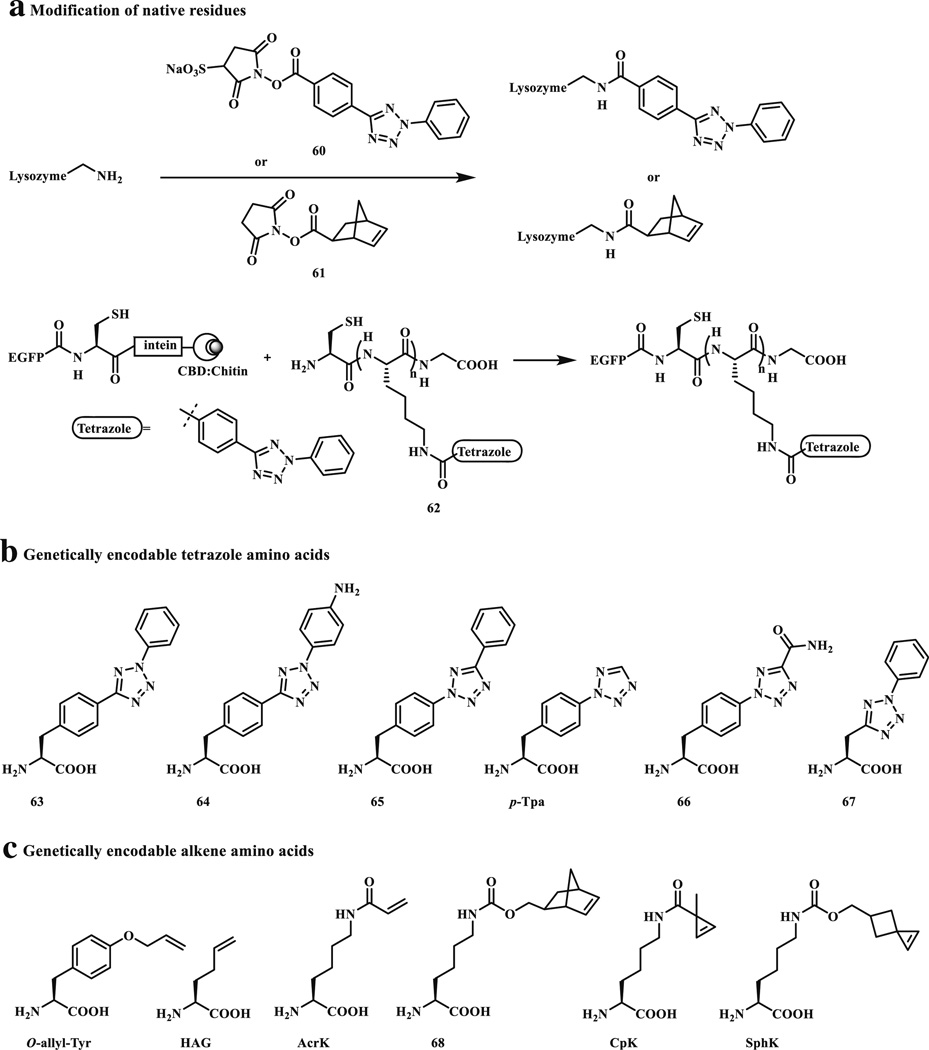 Scheme 8