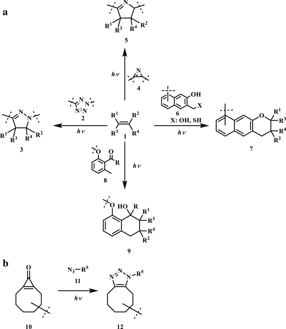 Scheme 3