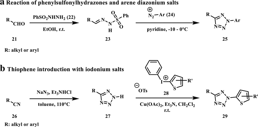 Scheme 5