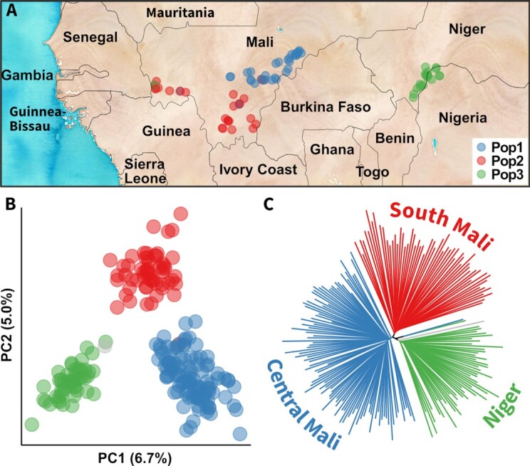 Figure 3: