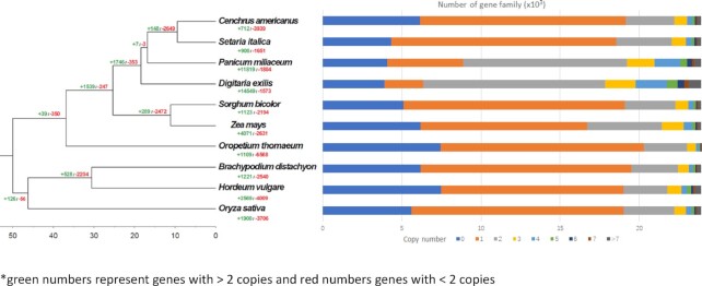 Figure 2: