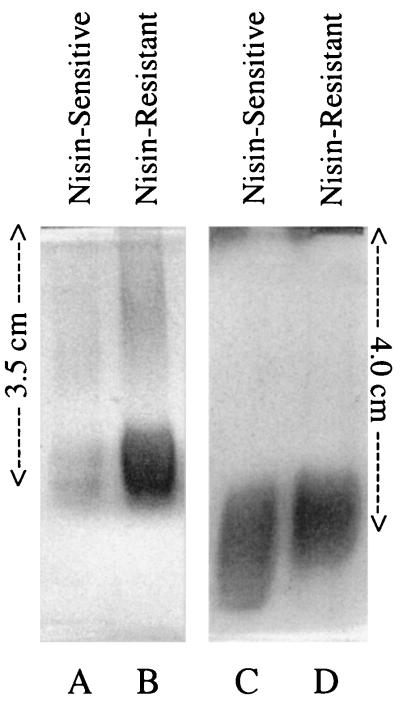 FIG. 8