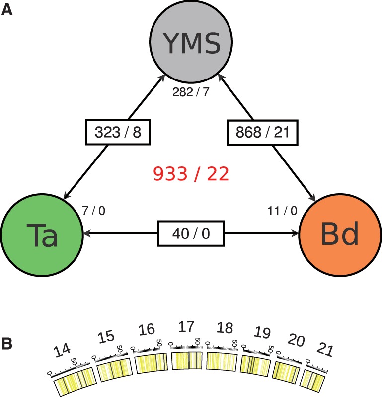 Fig. 2.—