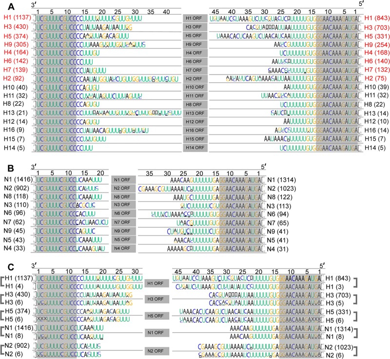 FIG 1