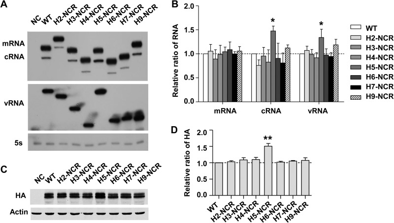 FIG 3