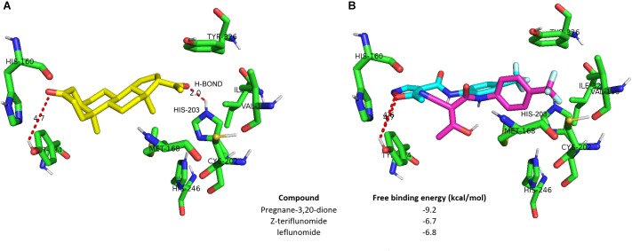 FIGURE 4