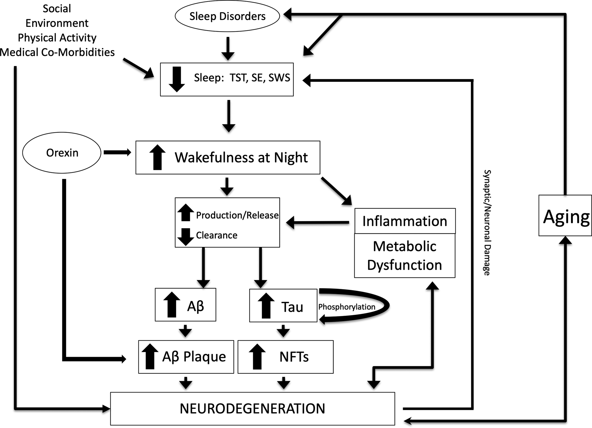 Figure 1: