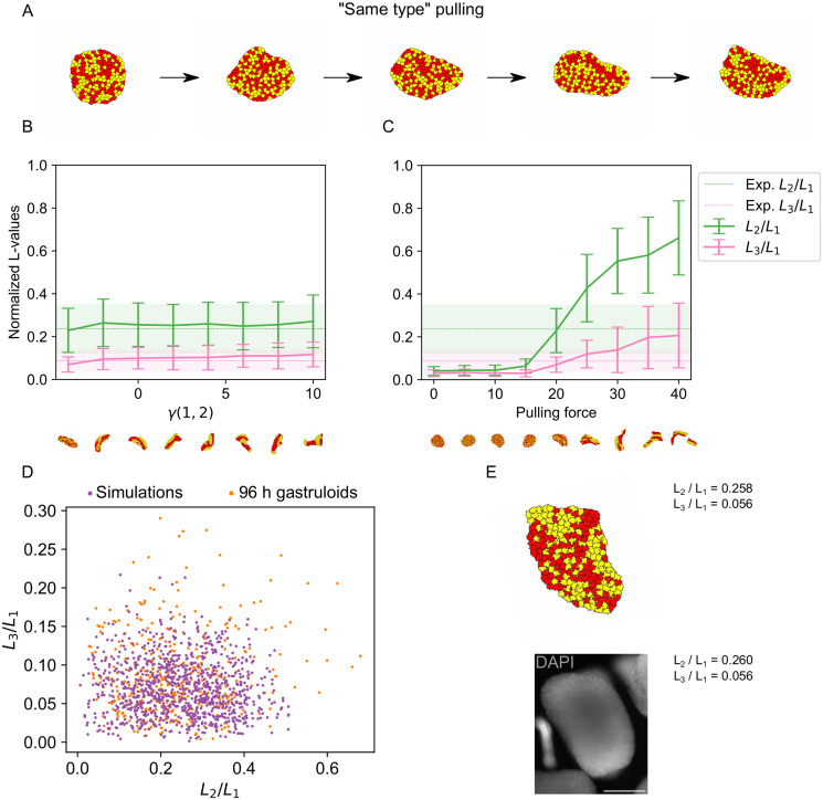 Fig 4