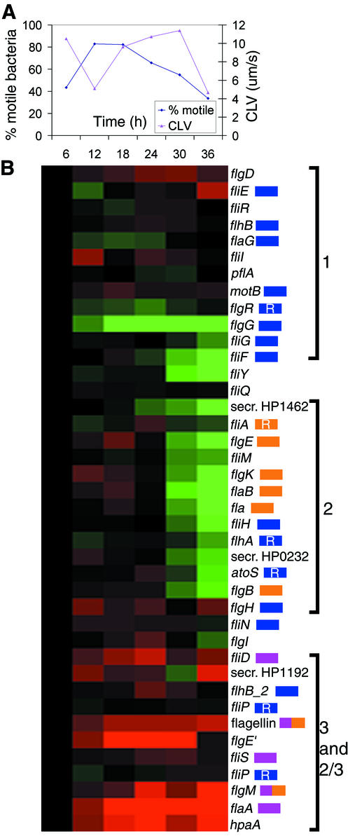 FIG. 6.