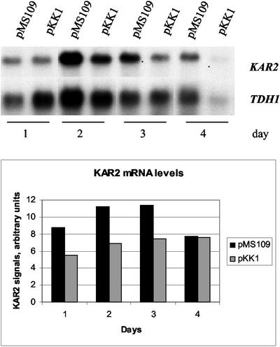 FIG. 3.