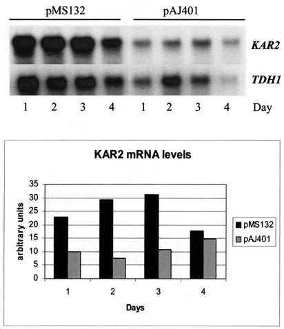 FIG. 5.