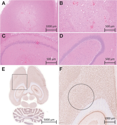 Figure 5: