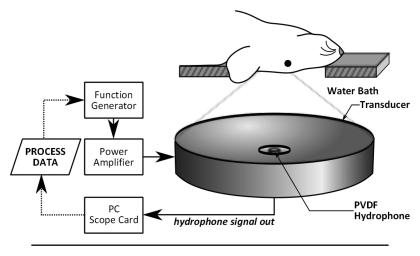 Figure 1a: