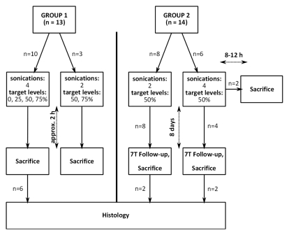 Figure 1c: