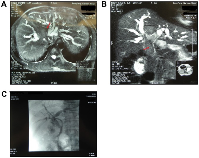 Figure 1.