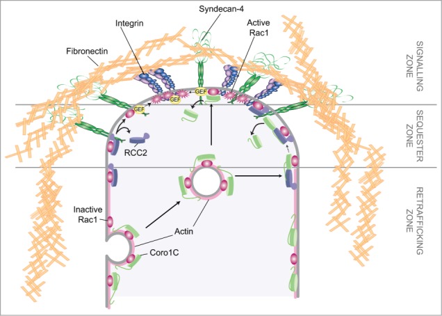 Figure 5.