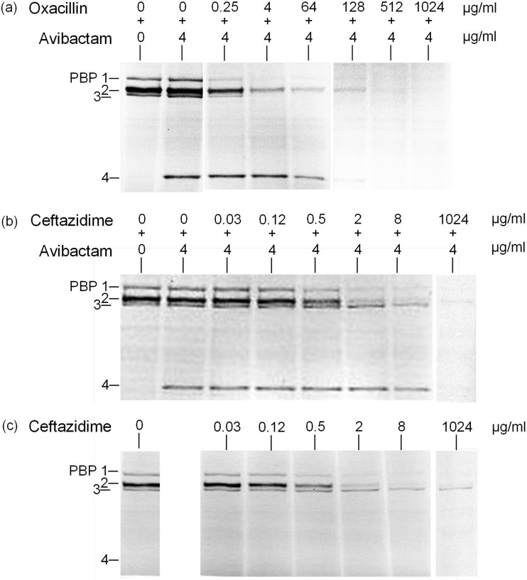 FIG 2