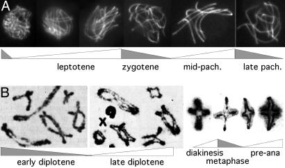 Fig. 9.